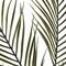 12 Pack: Green Tropical Areca Palm Stem by Ashland®